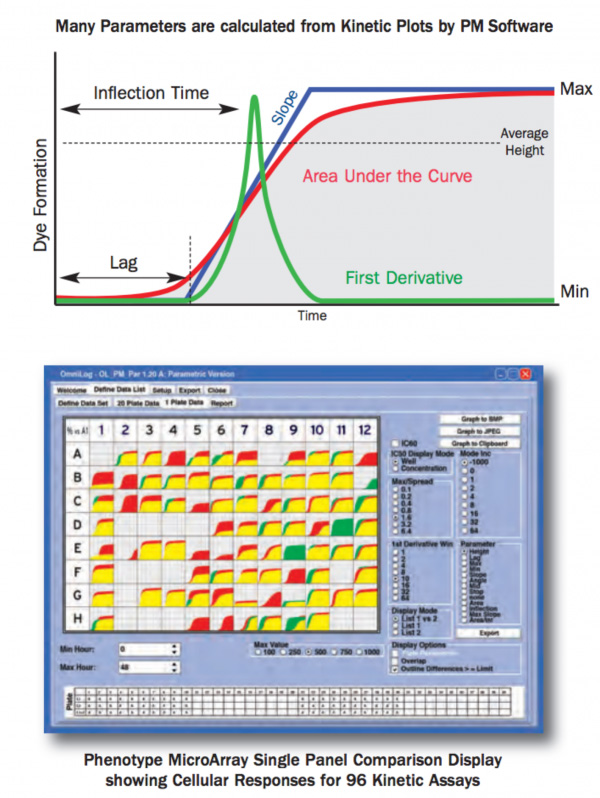 Biolog: OmniLog software zajem in analiza kinetičnih podatkov fenotipskih mikroplošč